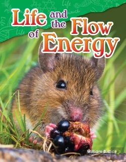 Bertrand.pt - Life And The Flow Of Energy