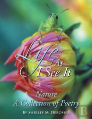 Life As I See It