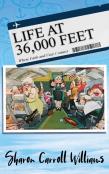 Life At 36,000 Feet