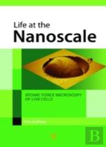 Life At The Nanoscale