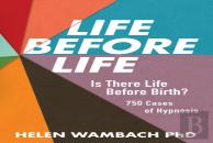 Life Before Life