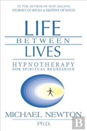 Life Between Lives