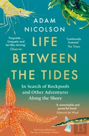 Life Between The Tides