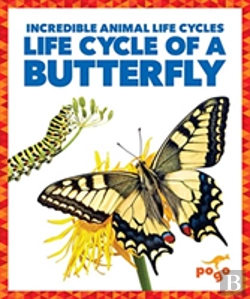 Bertrand.pt - Life Cycle Of A Butterfly