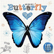 Life Cycle Of A Butterfly