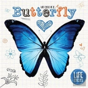 Life Cycle Of A Butterfly