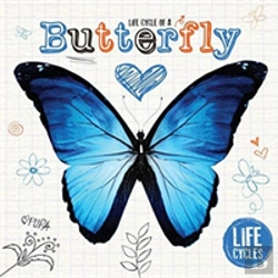 Bertrand.pt - Life Cycle Of A Butterfly