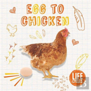 Life Cycle Of A Chicken