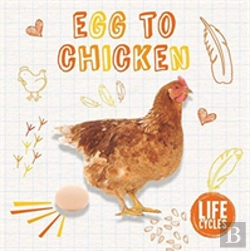 Bertrand.pt - Life Cycle Of A Chicken