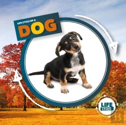 Bertrand.pt - Life Cycle Of A Dog
