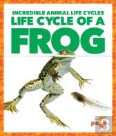 Life Cycle Of A Frog