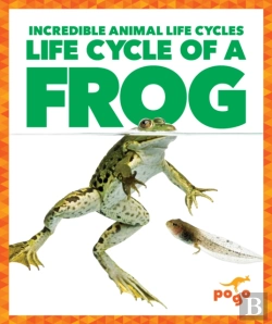Bertrand.pt - Life Cycle Of A Frog