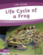 Life Cycle Of A Frog