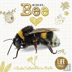 Bertrand.pt - Life Cycle Of A Honeybee