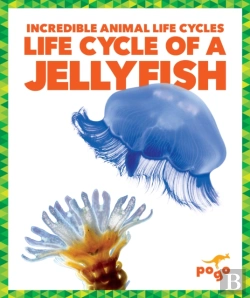 Bertrand.pt - Life Cycle Of A Jellyfish