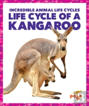 Life Cycle Of A Kangaroo