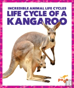 Bertrand.pt - Life Cycle Of A Kangaroo