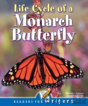 Life Cycle Of A Monarch Butterfly