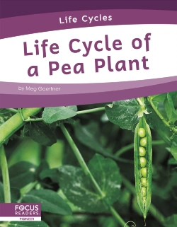 Bertrand.pt - Life Cycle Of A Pea Plant