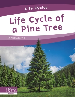Bertrand.pt - Life Cycle Of A Pine Tree