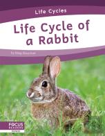 Life Cycle Of A Rabbit