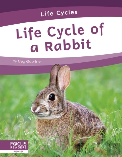 Bertrand.pt - Life Cycle Of A Rabbit