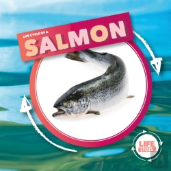 Bertrand.pt - Life Cycle Of A Salmon