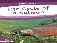 Life Cycle Of A Salmon