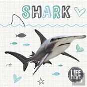 Life Cycle Of A Shark