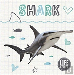 Bertrand.pt - Life Cycle Of A Shark