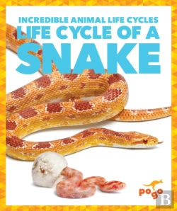 Bertrand.pt - Life Cycle Of A Snake