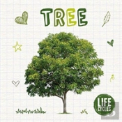 Life Cycle Of A Tree