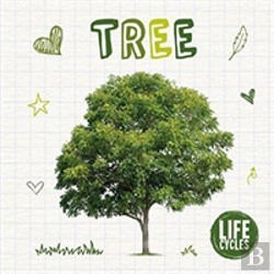 Bertrand.pt - Life Cycle Of A Tree