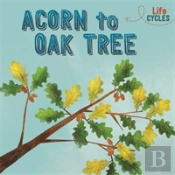 Life Cycles: Acorn To Oak Tree