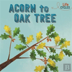 Bertrand.pt - Life Cycles: Acorn To Oak Tree