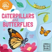 Life Cycles: Caterpillars And Butterflies