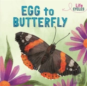Life Cycles: Egg To Butterfly