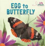 Life Cycles: Egg To Butterfly