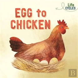 Bertrand.pt - Life Cycles: Egg To Chicken