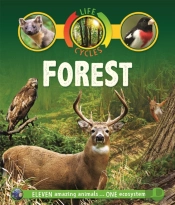 Life Cycles: Forest