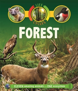 Bertrand.pt - Life Cycles: Forest