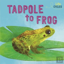 Bertrand.pt - Life Cycles: From Tadpole To Frog