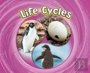 Life Cycles