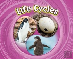 Bertrand.pt - Life Cycles
