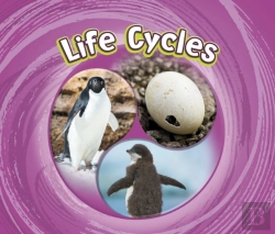 Bertrand.pt - Life Cycles
