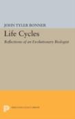 Life Cycles