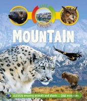 Life Cycles: Mountain