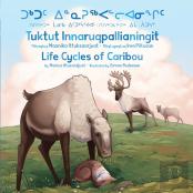 Life Cycles Of Caribou