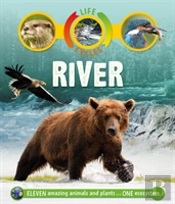 Life Cycles: River