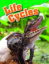 Life Cycles